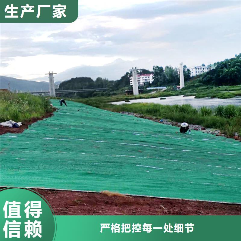 【椰丝毯】双向土工格栅支持大小批量采购