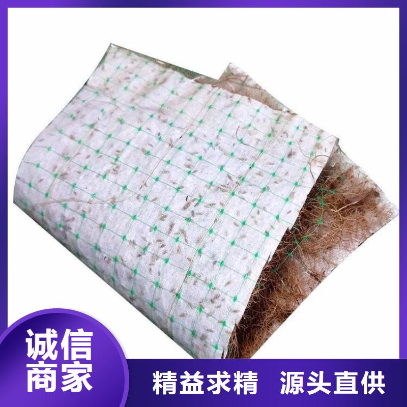 椰絲毯復合土工膜省心又省錢