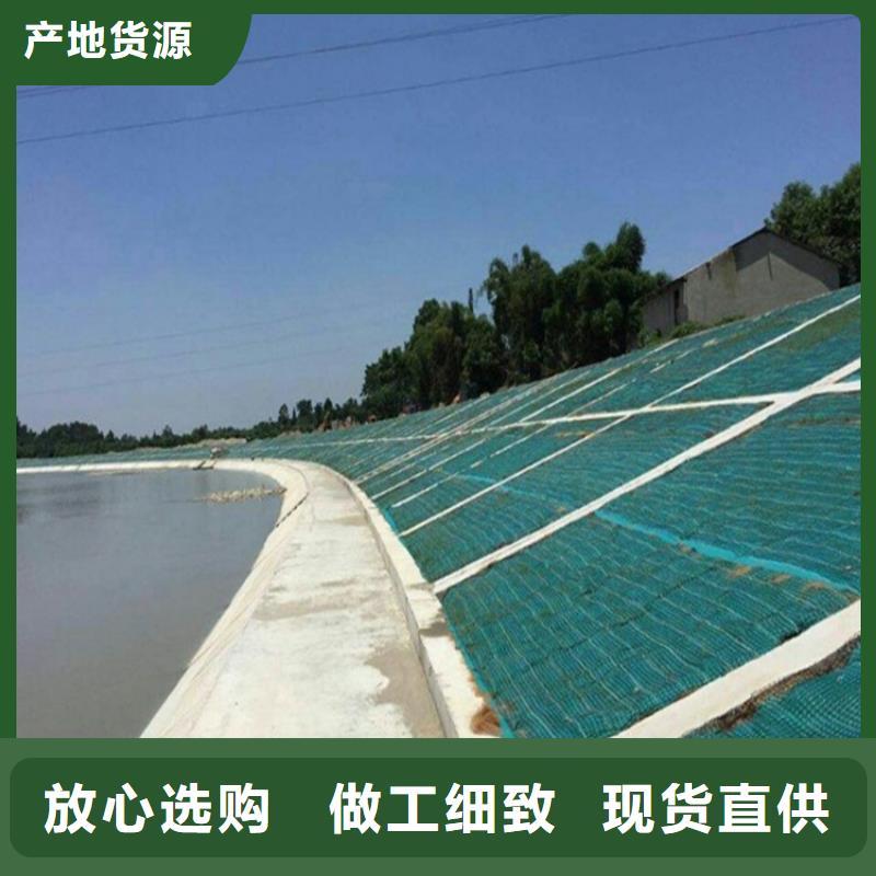 【椰絲毯】雙向土工格柵支持大小批量采購