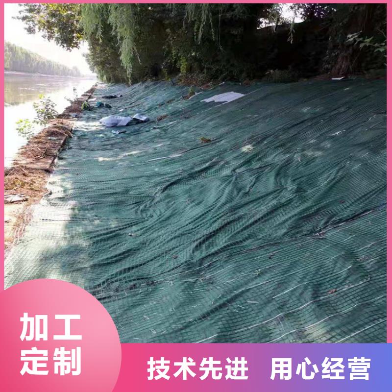 椰絲毯土工膜精選廠家好貨