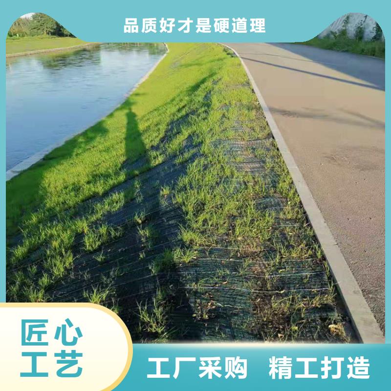 椰絲毯【土工格室】實體廠家大量現貨