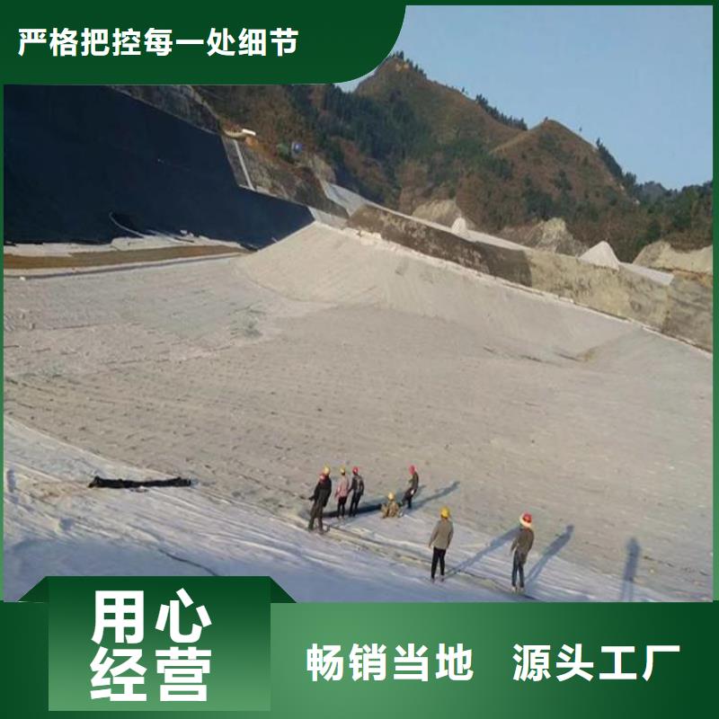 膨潤(rùn)土防水毯防水板誠(chéng)信廠家