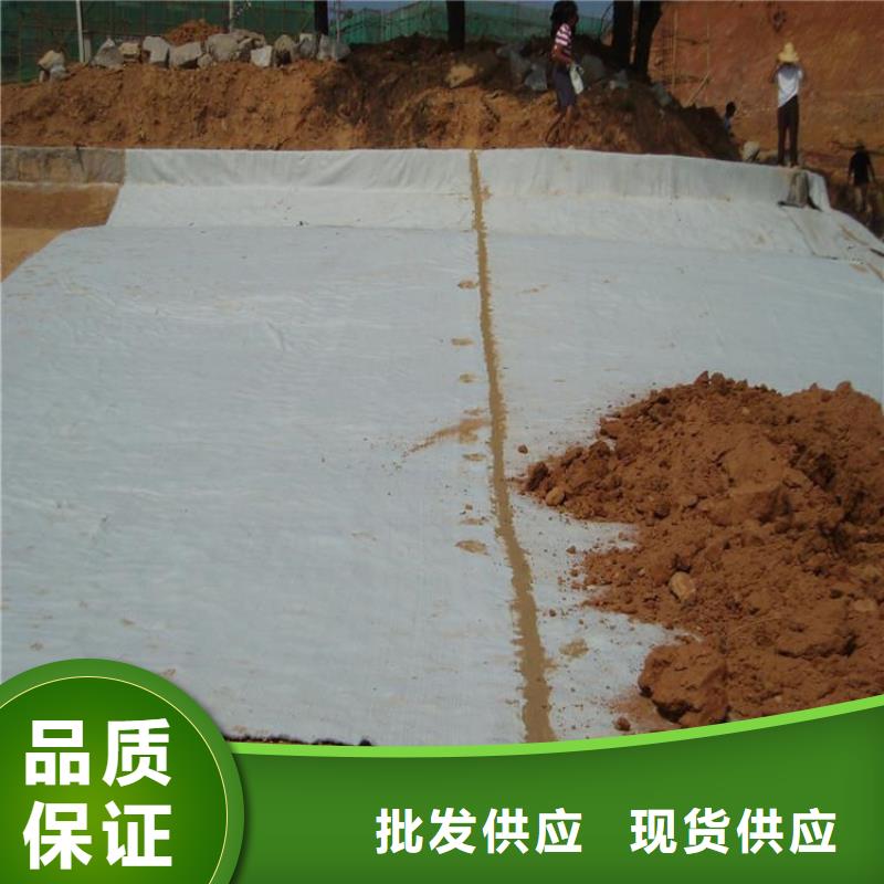 膨潤土防水毯_土工膜市場行情