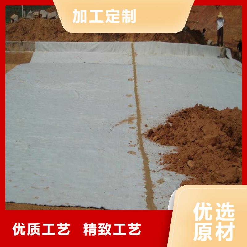 膨潤土防水毯土工網墊發貨及時