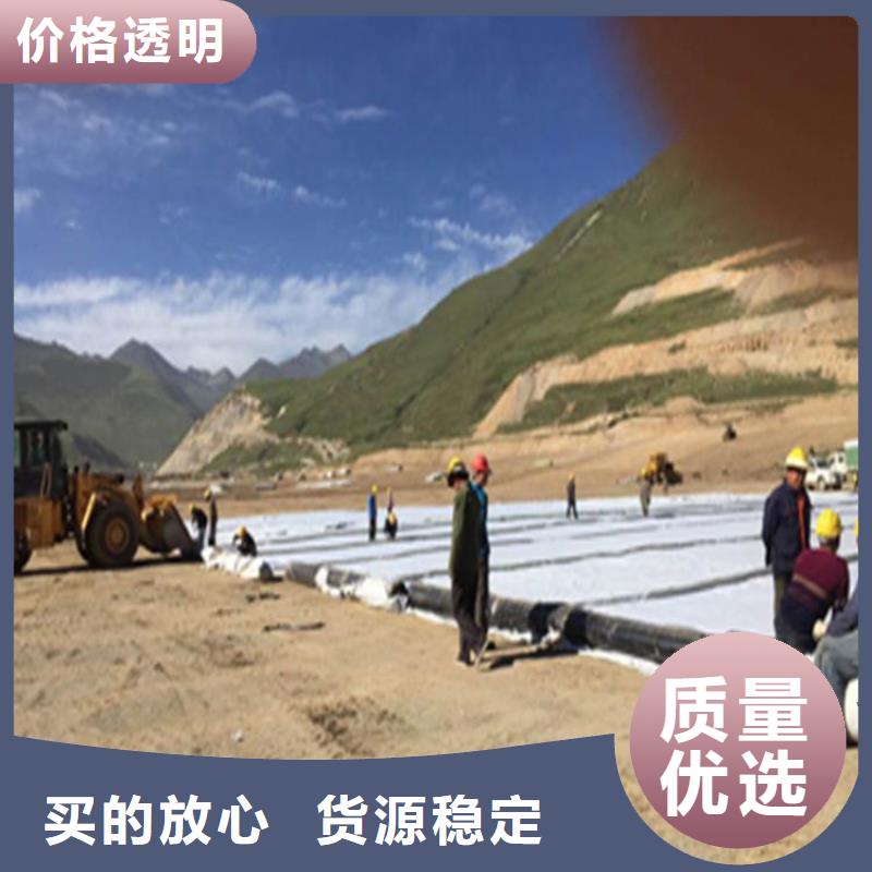 膨潤土防水毯聚酯玻纖布支持拿樣
