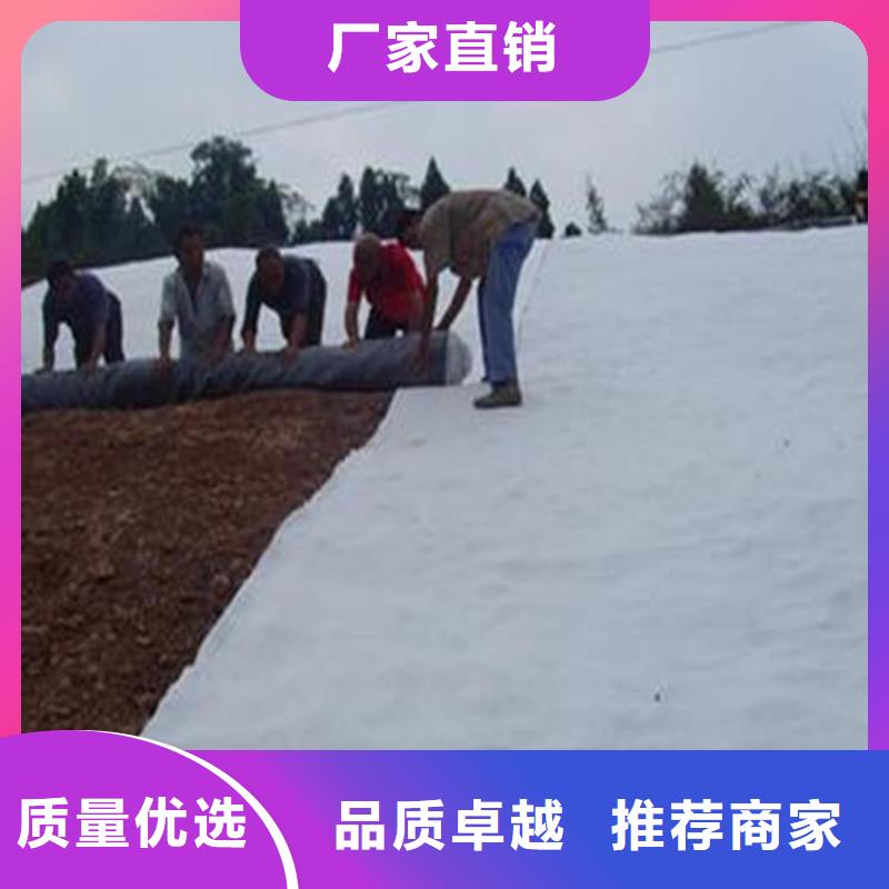 膨潤土防水毯土工網一站式服務