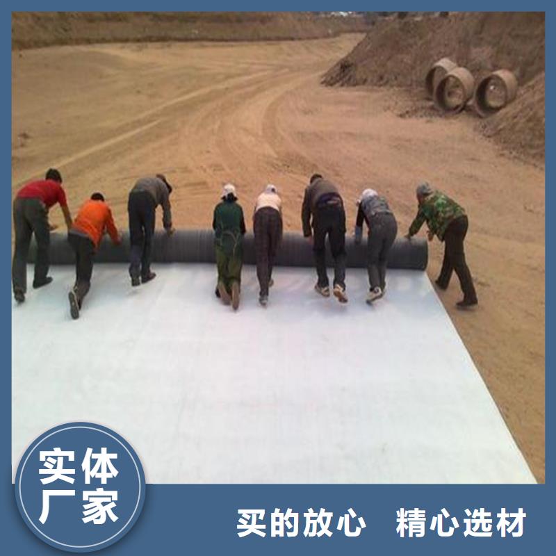 膨潤土防水毯_土工膜市場行情