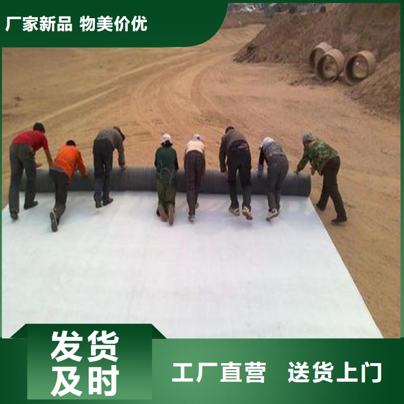 膨潤(rùn)土防水毯防水板誠(chéng)信廠家