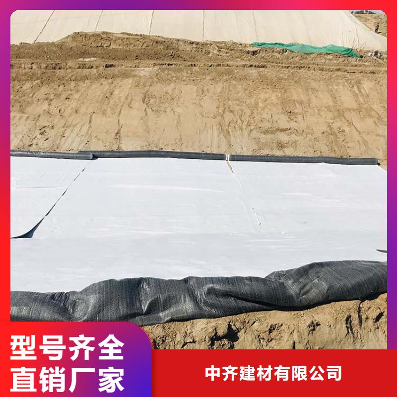 膨潤土防水毯聚酯玻纖布支持拿樣