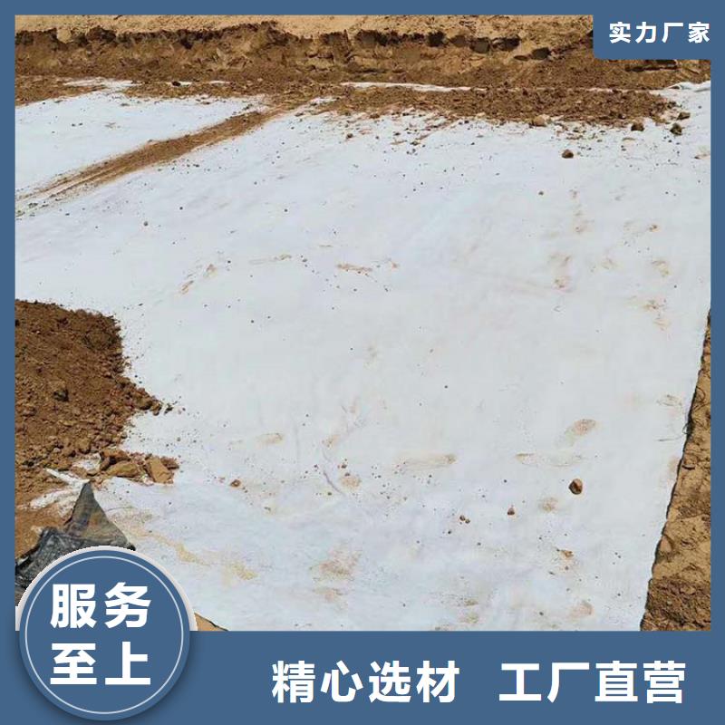 膨润土防水毯双向塑料土工格栅型号齐全