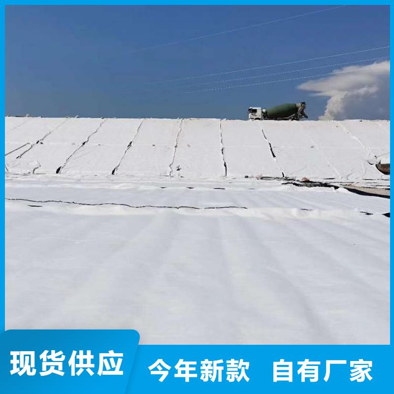 膨润土防水毯土工网准时交付