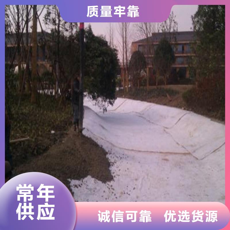 膨潤土防水毯_土工膜市場行情