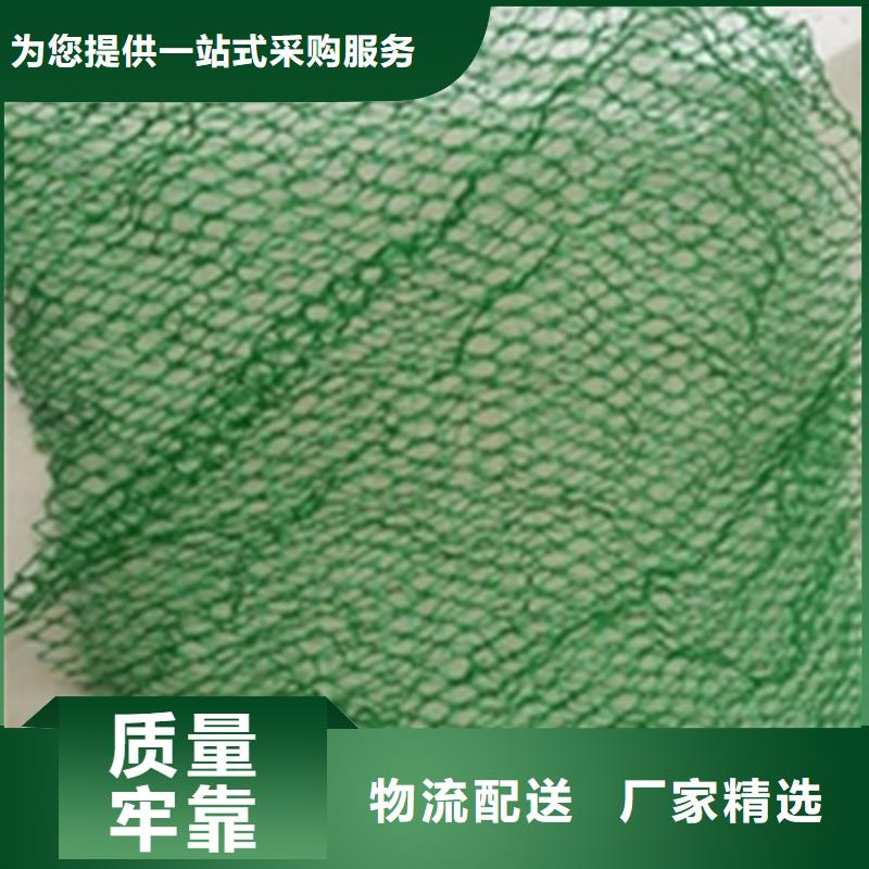 三维植被网_HDPE土工膜源厂直销