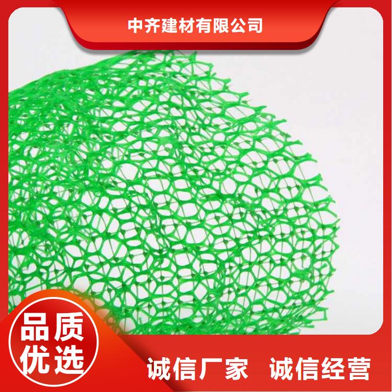 三維植被網_塑料玻纖格柵廠家采購