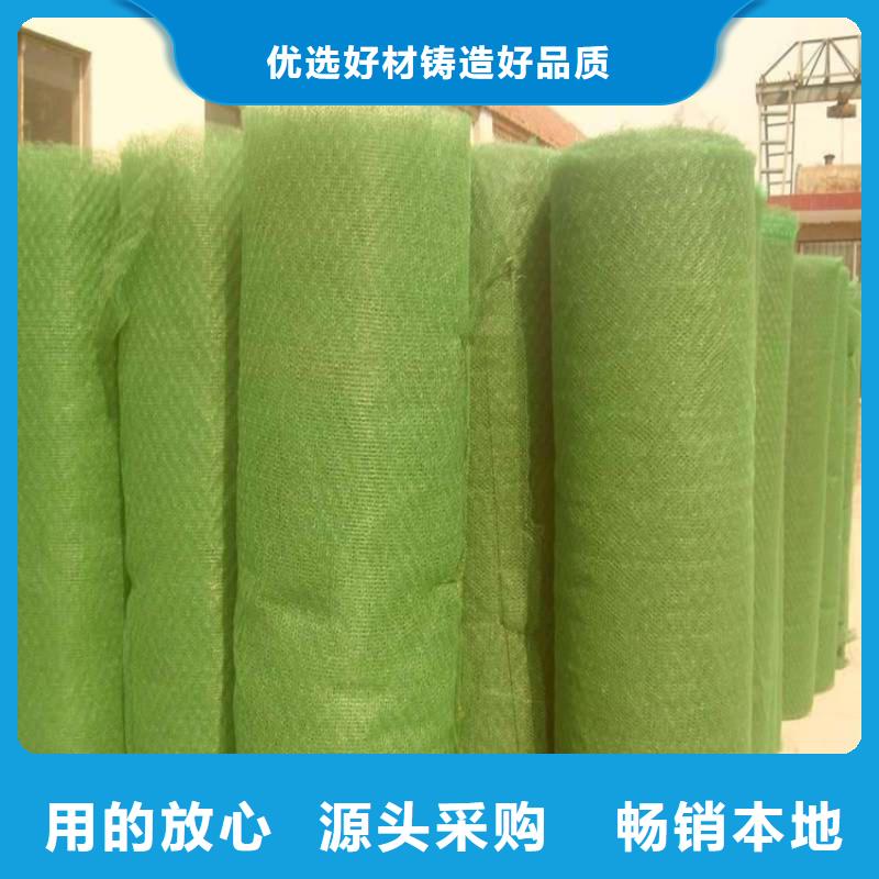 三維植被網(wǎng)土工布一個起售