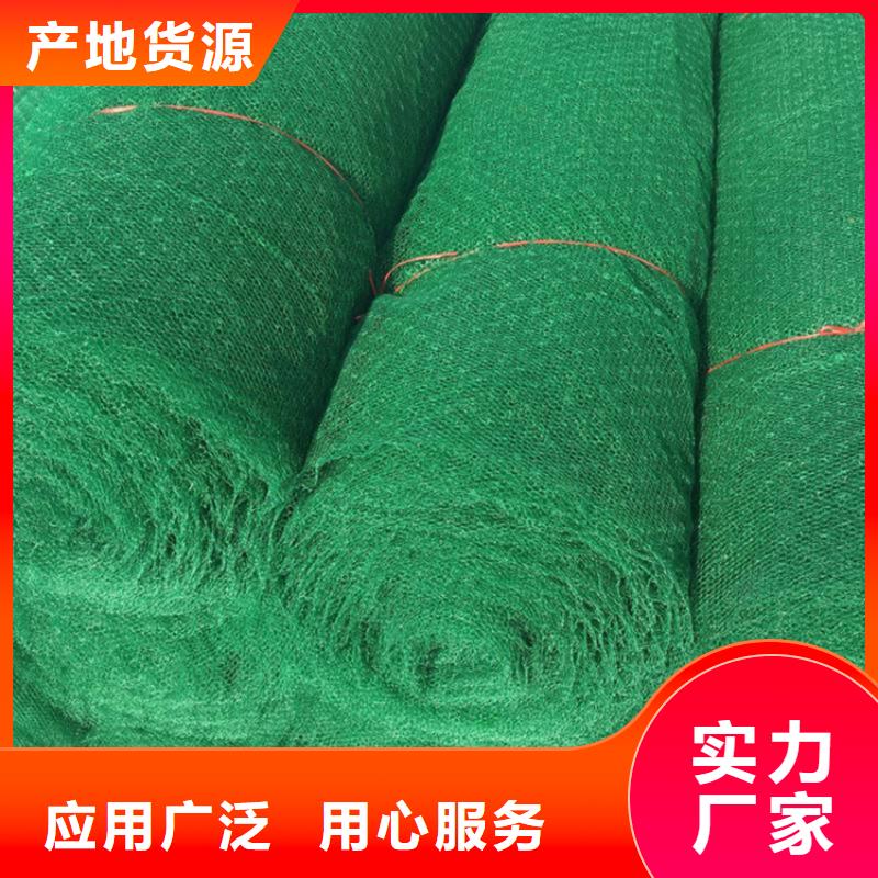 【三维植被网】土工布海量现货直销由中齐为您