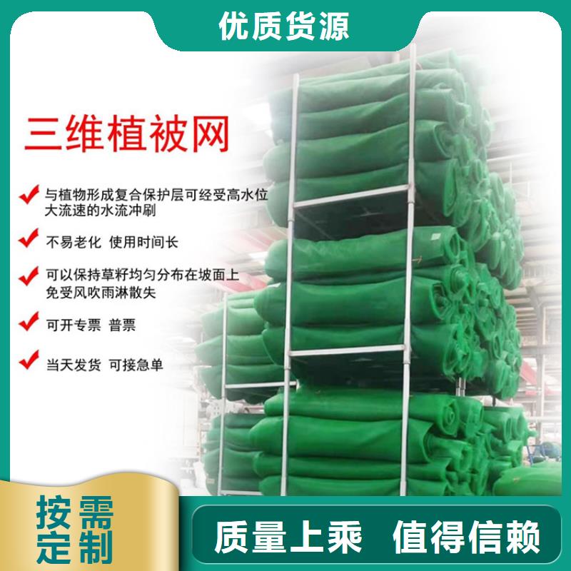 三維植被網(wǎng)土工布一個(gè)起售