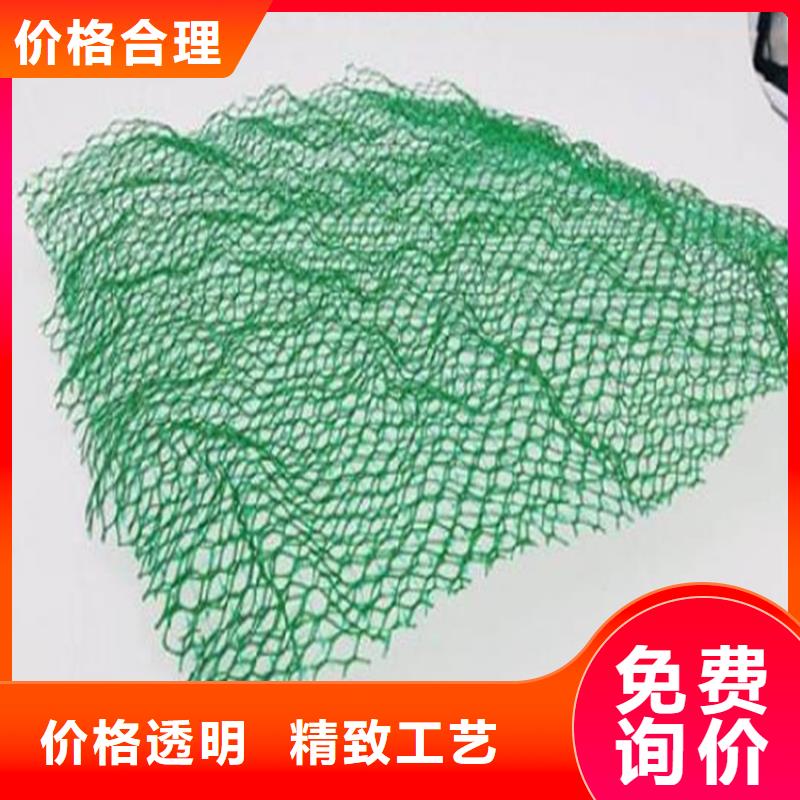 三維植被網(wǎng)土工布一個起售