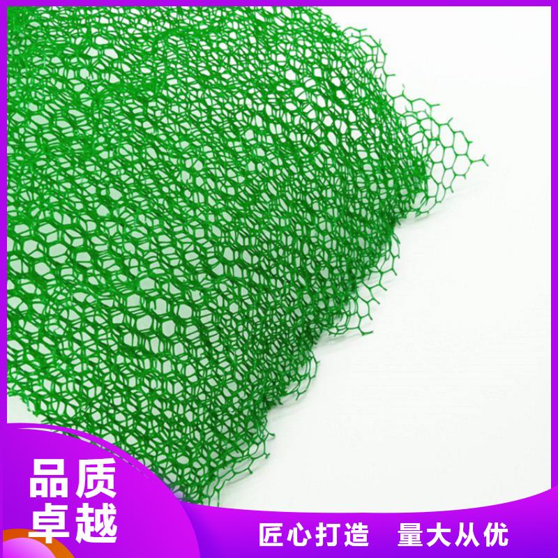 三維植被網_塑料玻纖格柵廠家采購