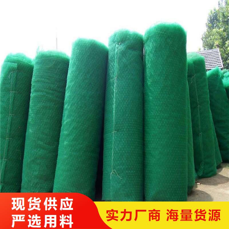 三維植被網(wǎng)土工布一個起售