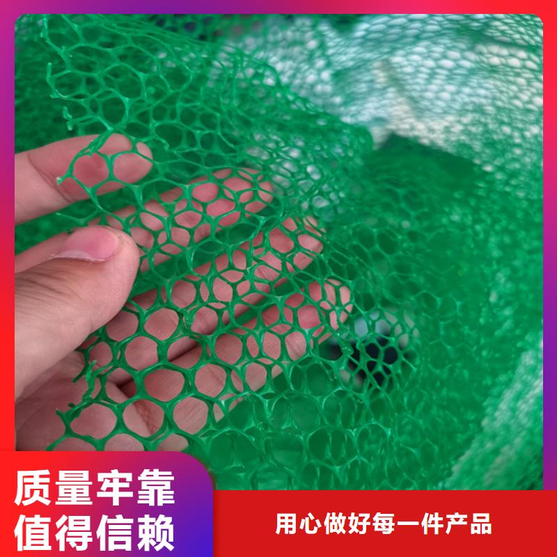 三維植被網_塑料玻纖格柵廠家采購