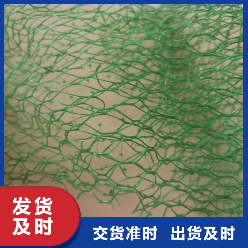 三維植被網土工格柵合作共贏