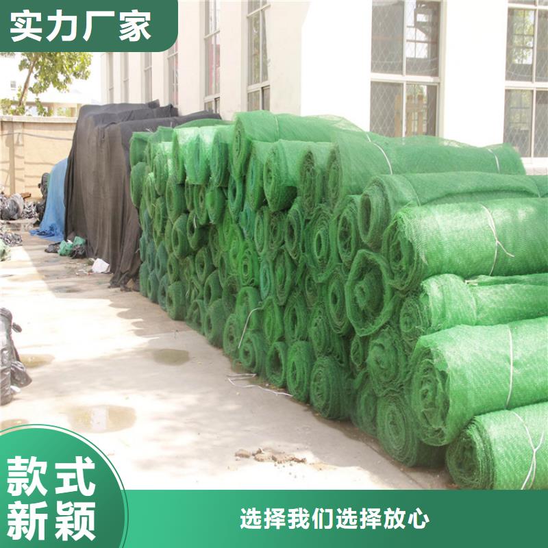 三維植被網土工格柵合作共贏