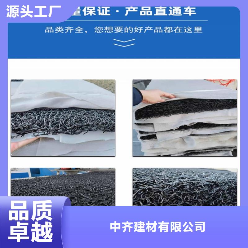 【土工席墊_植草格源頭廠家直銷】