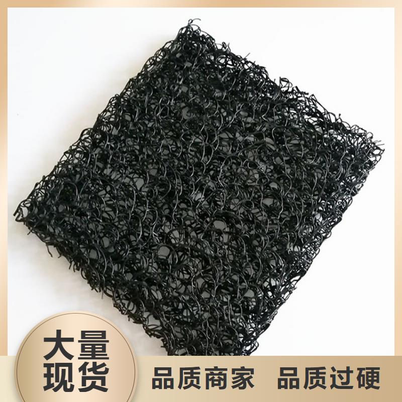 土工席墊土工格柵出貨及時(shí)
