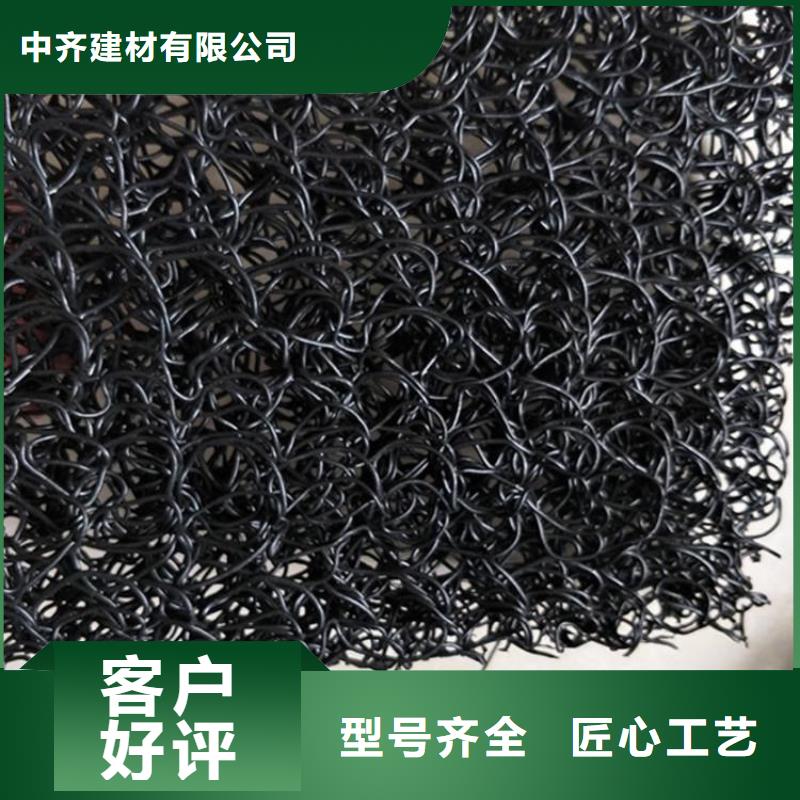 土工席垫HDPE土工膜N年生产经验
