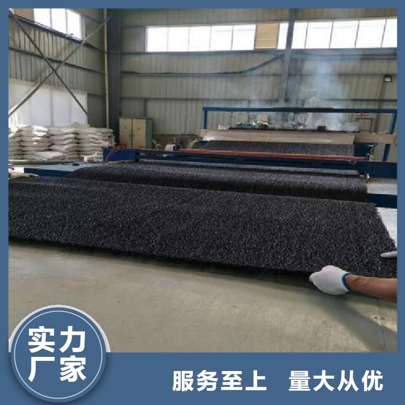 土工席墊【單向塑料土工格柵】工藝精細質保長久