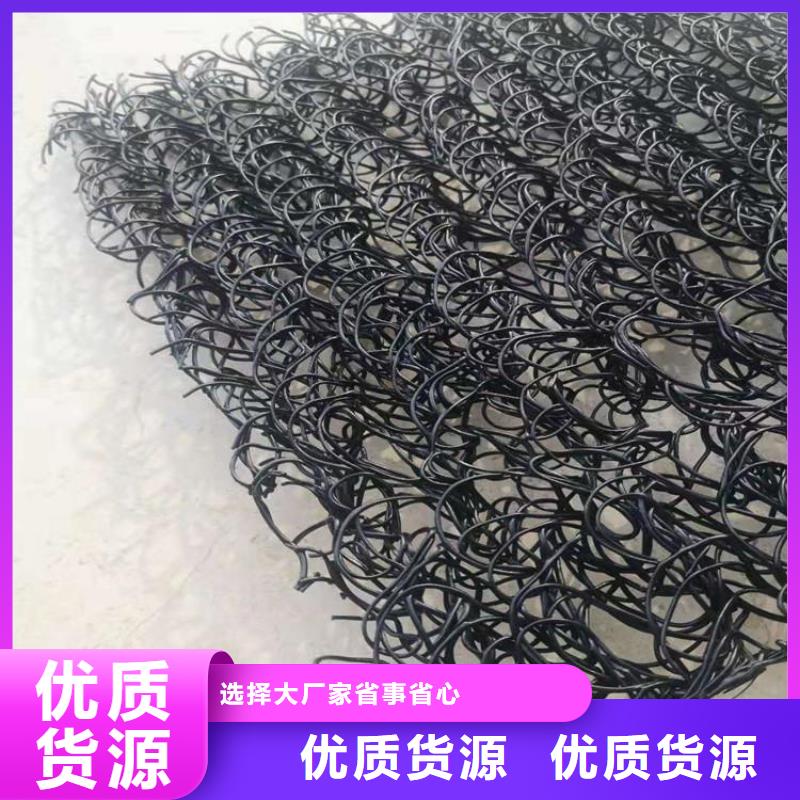 土工席墊HDPE土工膜N年生產經驗