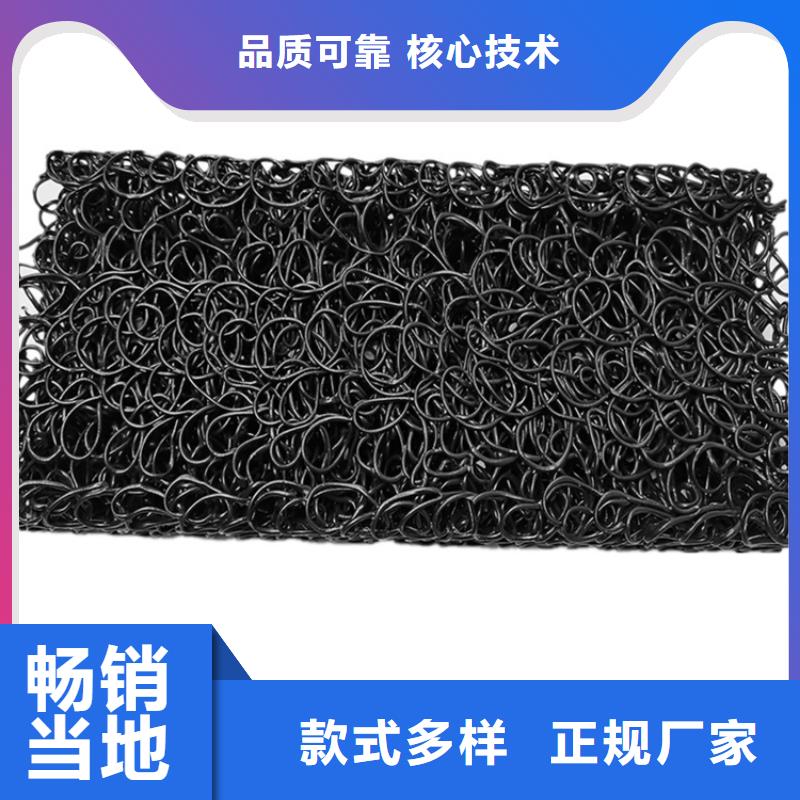 土工席墊土工格柵出貨及時(shí)