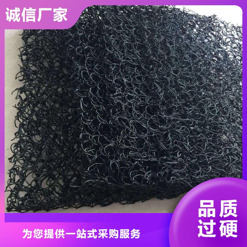 土工席墊土工格柵出貨及時(shí)