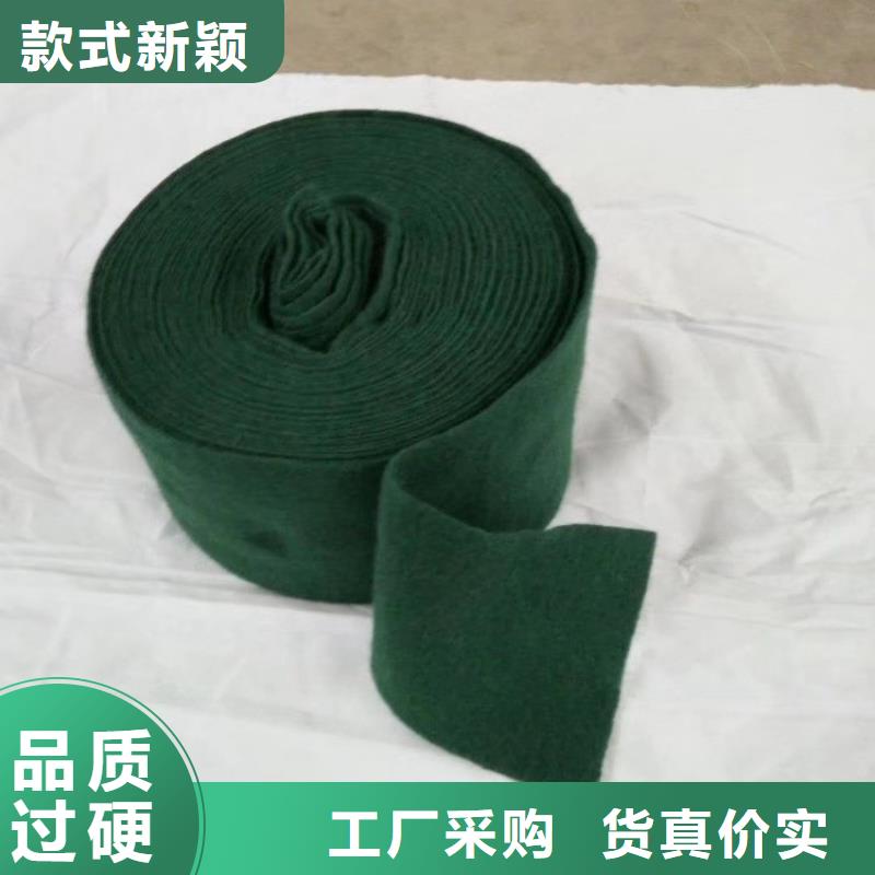 裹樹布【單向塑料土工格柵】N年專注