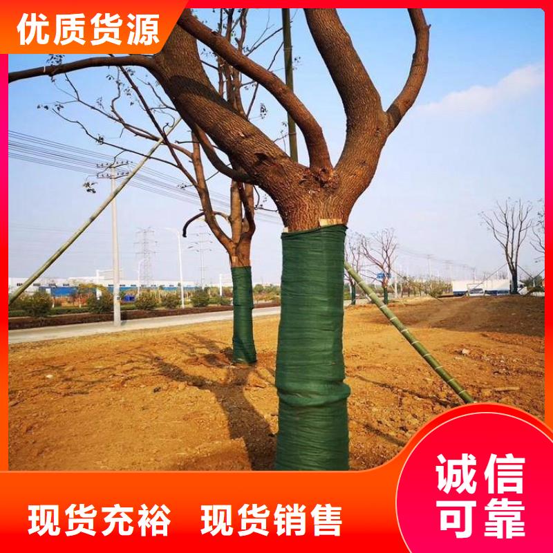 裹樹布防水板質量優選