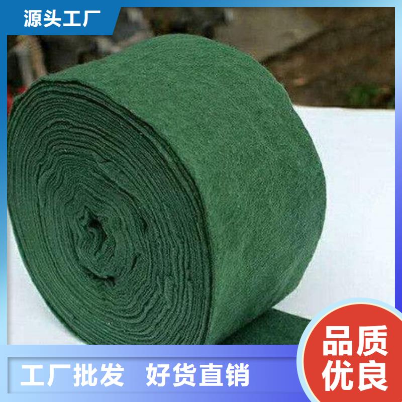 裹樹(shù)布_HDPE復(fù)合排水板值得買