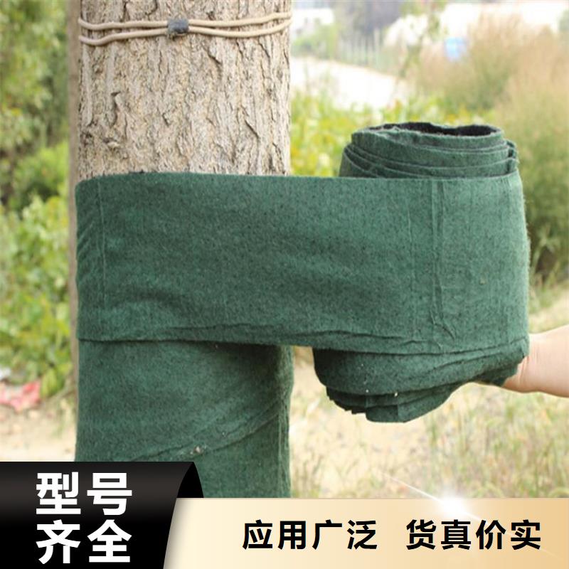 裹樹布防滲膜產地貨源