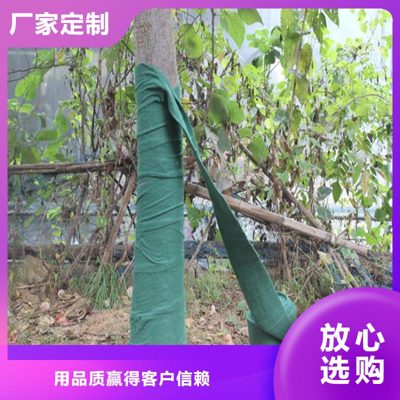 裹樹布蓄水板可定制