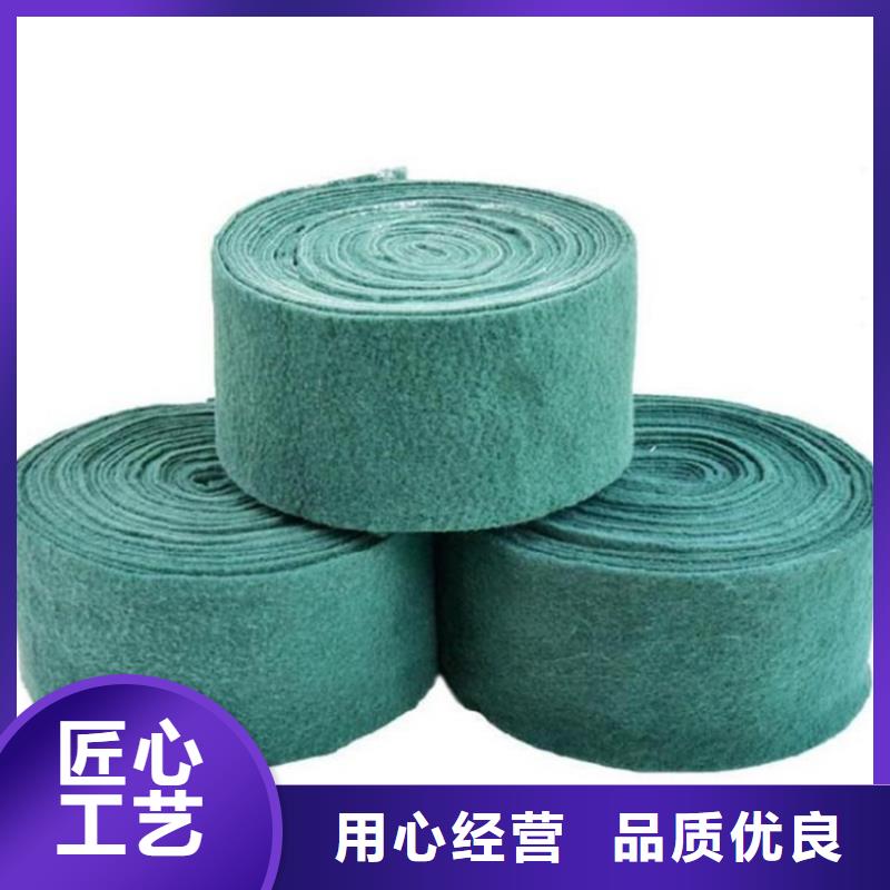 裹樹布【單向塑料土工格柵】N年專注