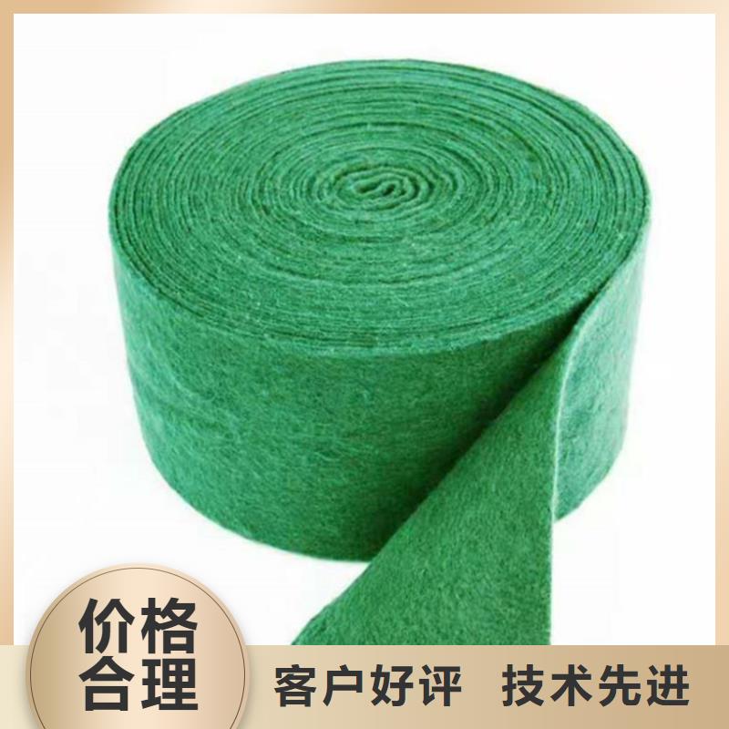 裹樹布防滲膜產地貨源
