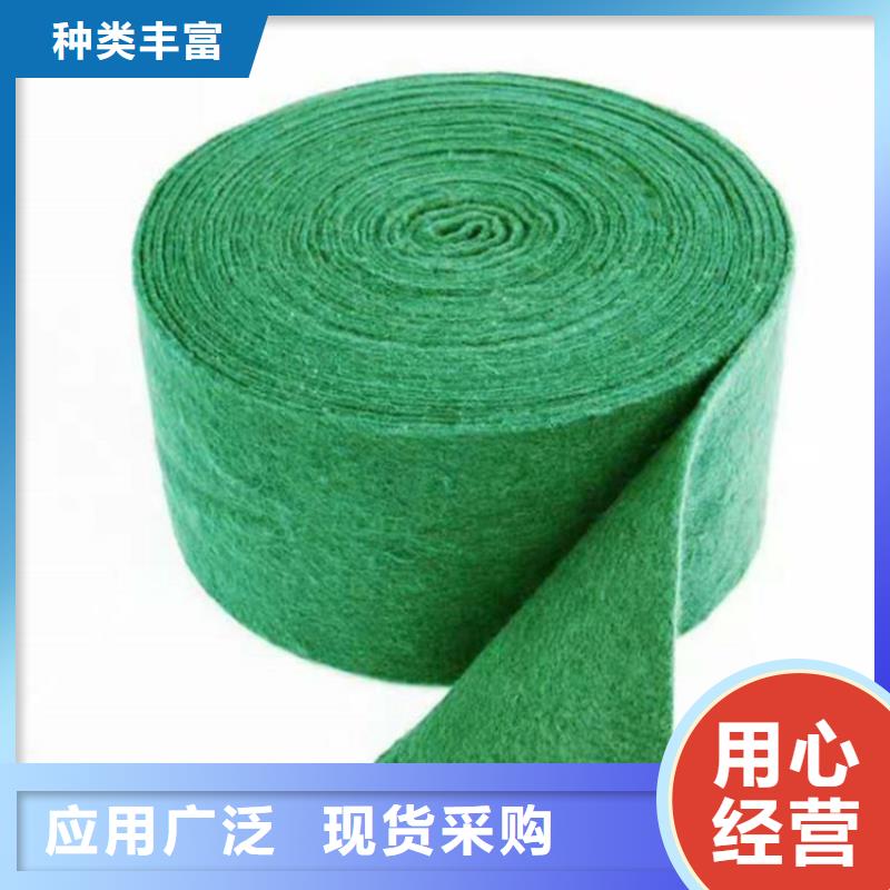裹樹布塑料盲溝打造行業(yè)品質(zhì)