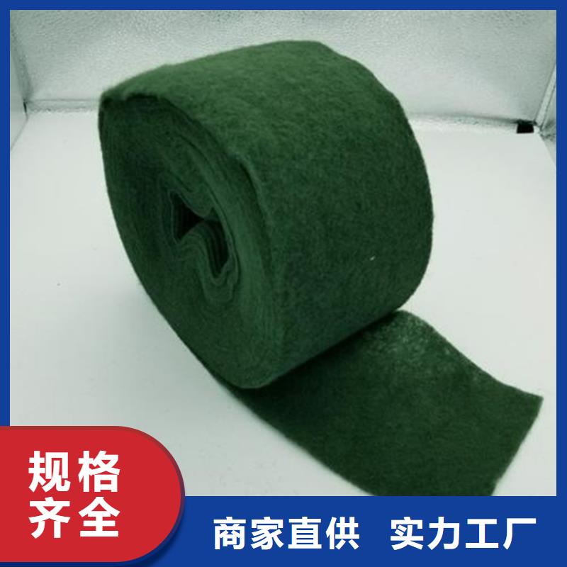 裹樹布防滲膜產地貨源