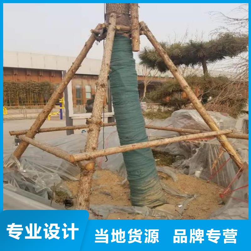裹樹(shù)布_HDPE復(fù)合排水板值得買(mǎi)