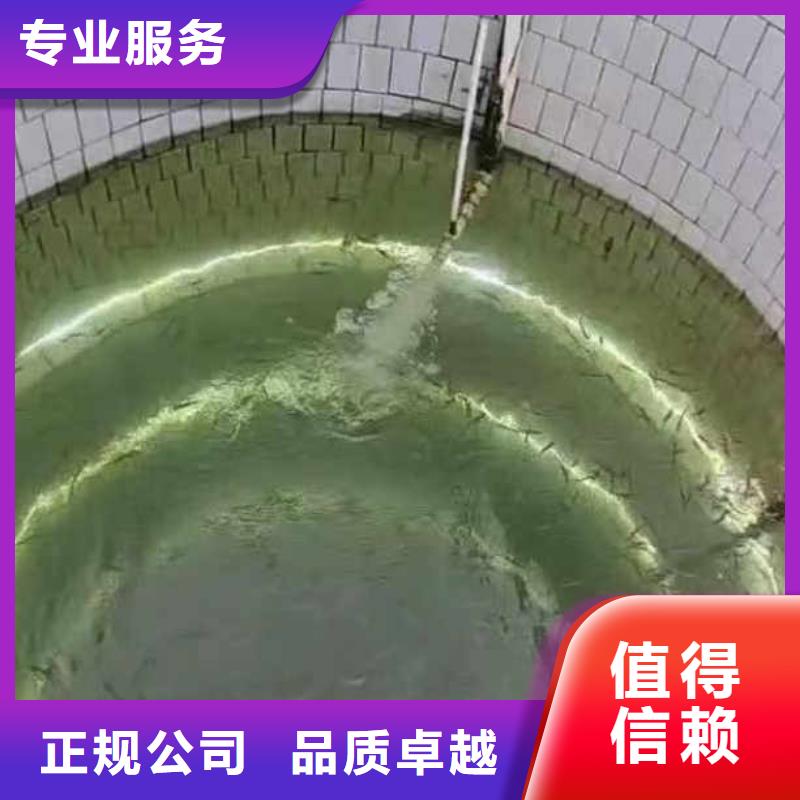 水中施工价格实惠浪淘沙水工