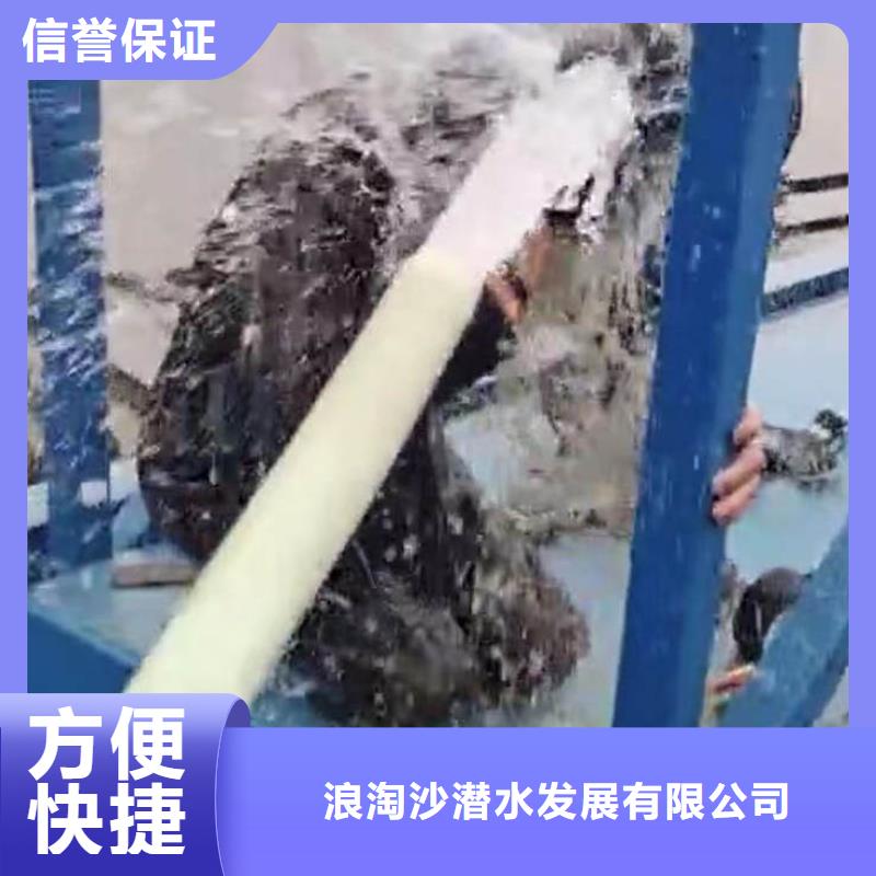 西湖区闸门水下清理与维修-___十佳水鬼浪淘沙水工