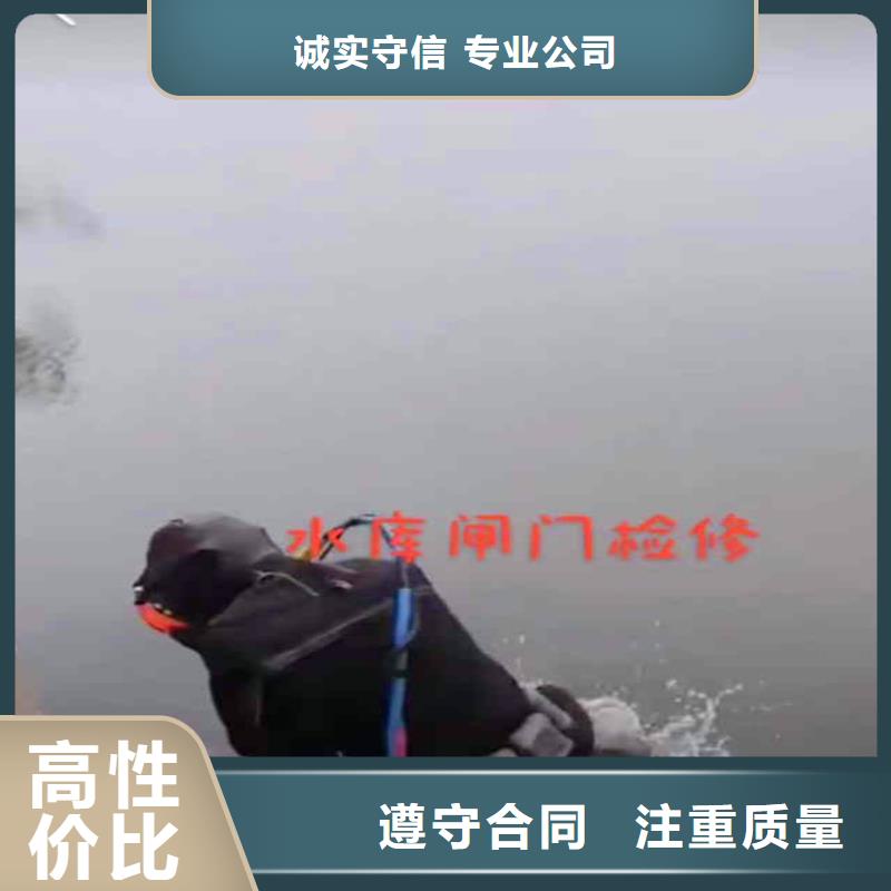 水鬼蛙人水下检修闸门-支持定制-浪淘沙水工