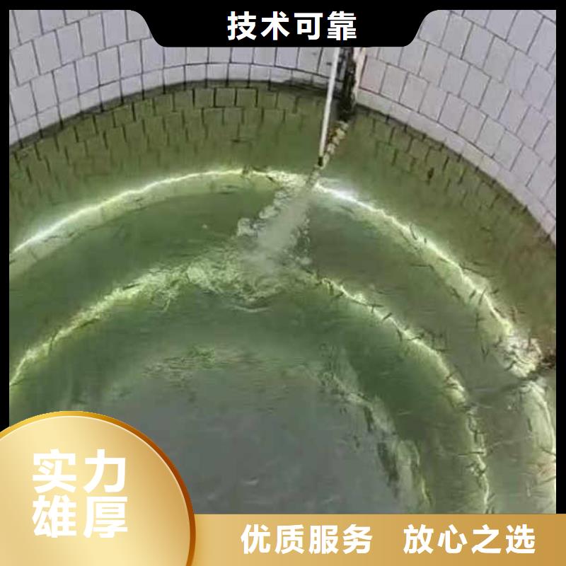 蛙人打撈隊一廠家直銷一水下拍照