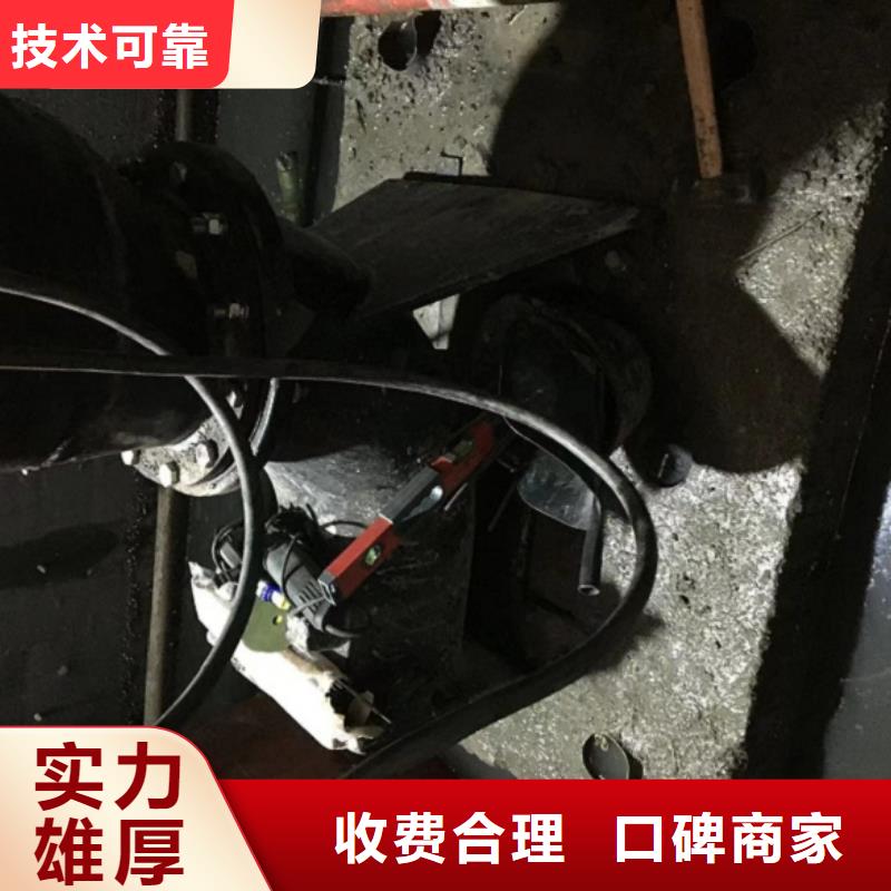 水下維修【潛水作業(yè)施工】專業(yè)品質(zhì)