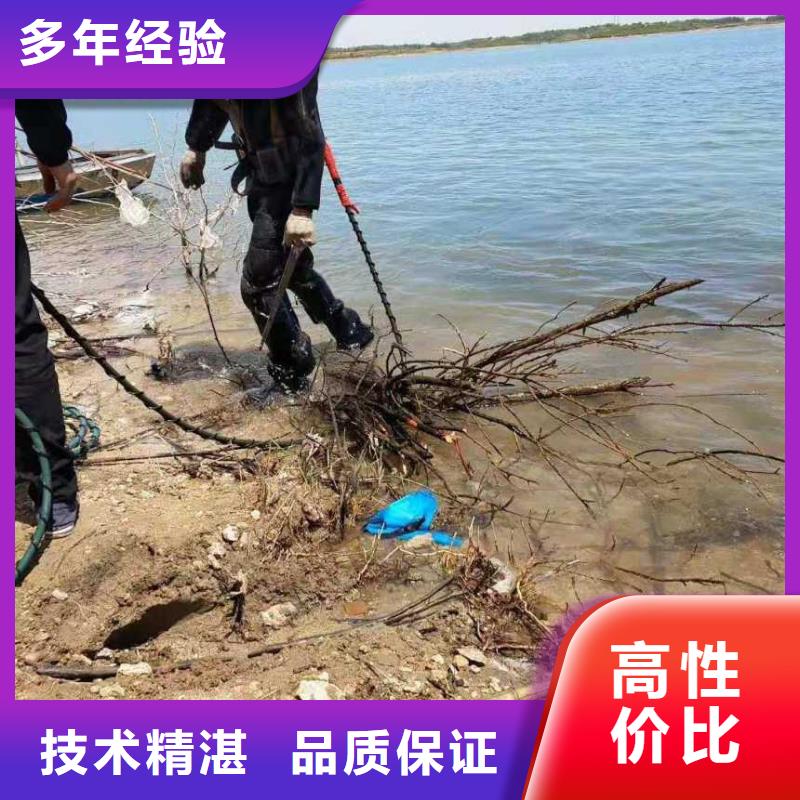 潜水员水下摄影全国送货